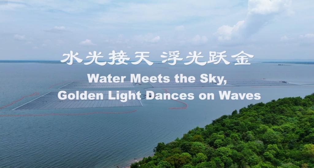W66利来国际(中国最佳)限公司-官网
